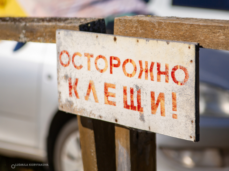 В Карелии зафиксирован первый случай заражения клещевой инфекцией в текущем году