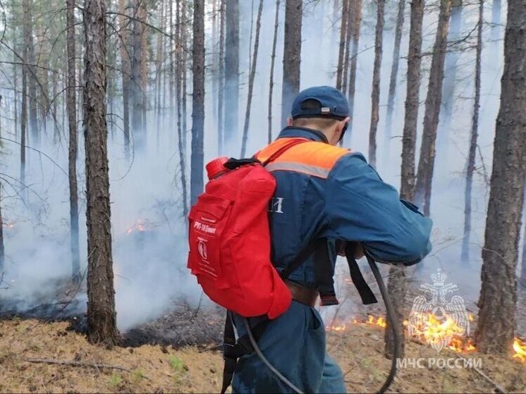 Лесной пожар на 2,6 тысячи га потушили в Шилкинском районе