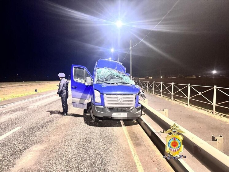 В ДТП в Калмыкии погибли экскурсовод и ее мать из Волгограда