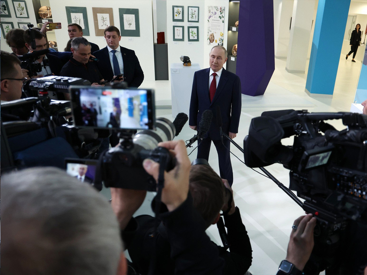 Телефонный разговор президента США Трампа с его российским коллегой Владимиром Путиным вызвал очевидное уныние у либерального истеблишмента на Западе