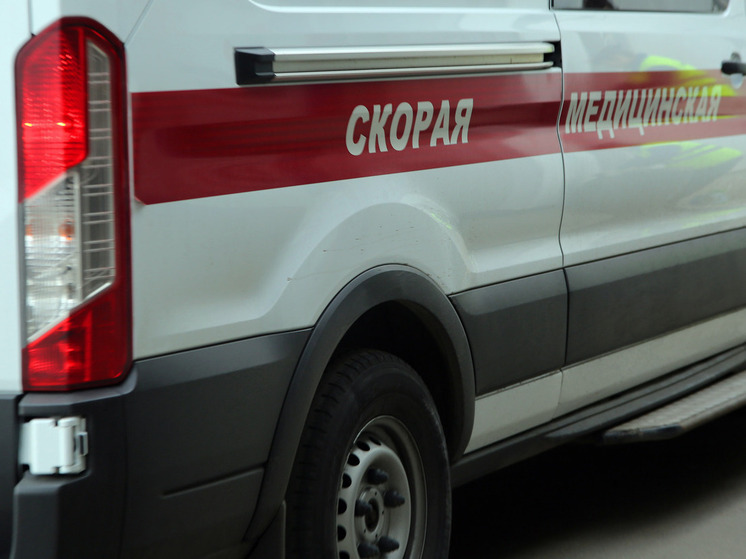 15 раз за сутки огнеборцы Подмосковья выезжали на пожары