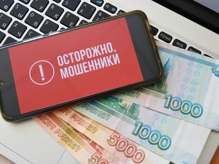 Почти 100 млн рублей сняли мошенники с бизнес-счета нижегородки