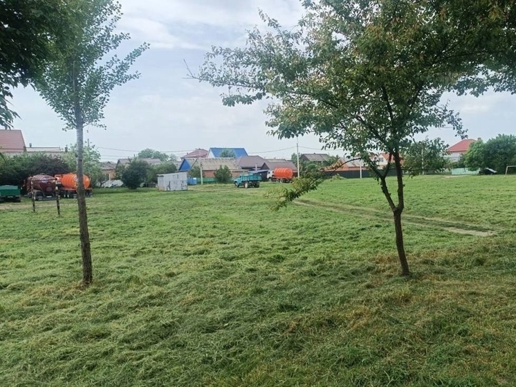 В микрорайоне Северный в Краснодаре покосили траву