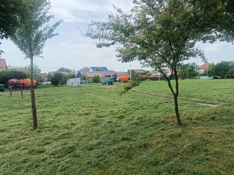 В микрорайоне Северный в Краснодаре покосили траву