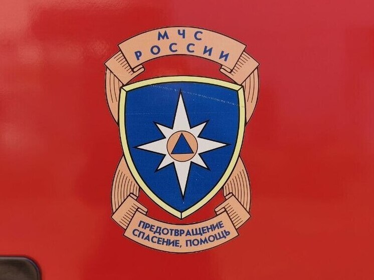 Двухквартирный дом загорелся в ЕАО из-за повреждения электросети