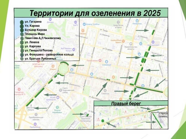 Всерьёз и надолго: к озеленению Калуги отнесутся с умом