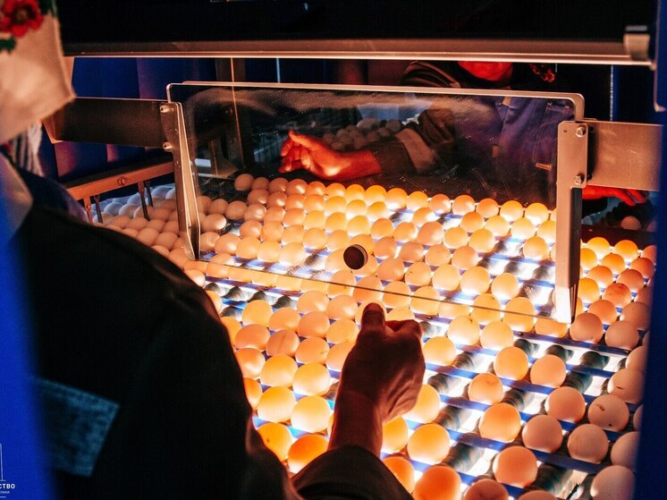 Чувашия — лидер ПФО по темпам роста агропромышленного комплекса и промышленности