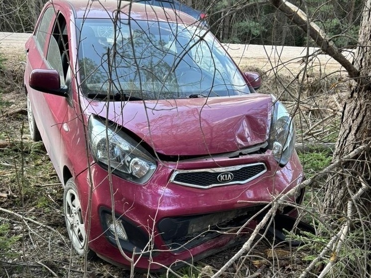 Автоледи съехала в кювет и врезалась в дерево в Бабаевском округе