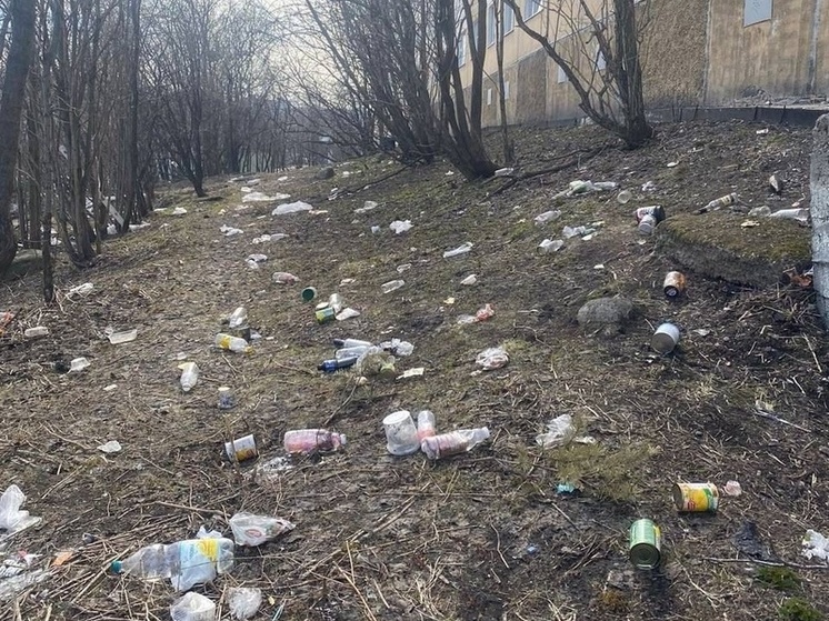 Северяне устроили в помойку под своими окнами