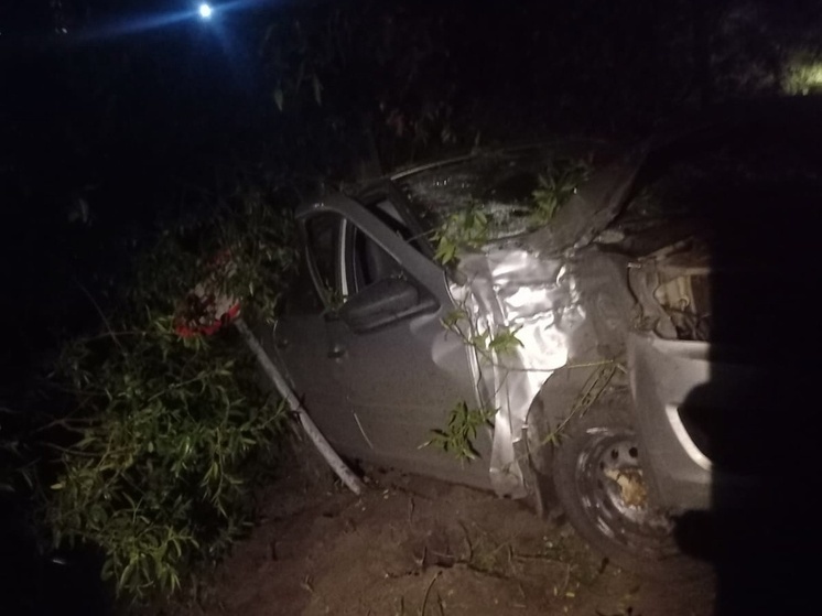 На трассе под Курском легковушка Lada врезалась в дерево, пострадал водитель