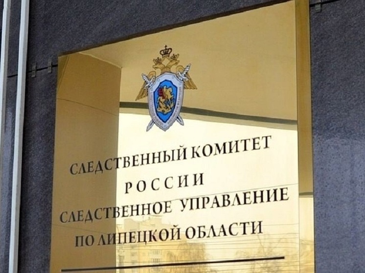 В Липецкой области возбуждено уголовное дело против матери, жестоко обращавшейся с детьми