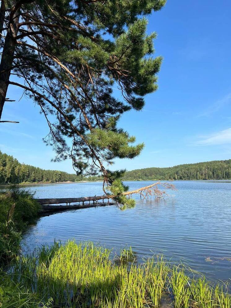 Красноярский суд отменил сделку о продаже участка земли вблизи Мигнинского водохранилища