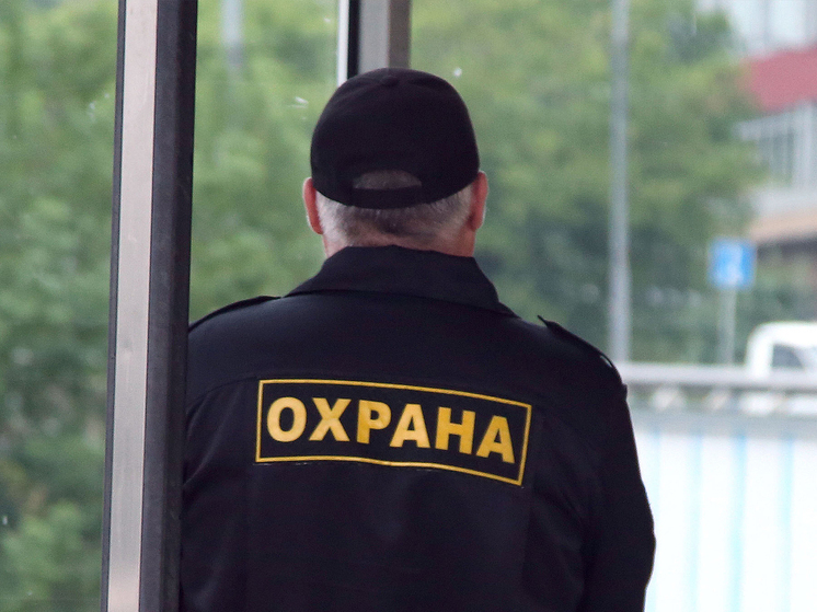 Предоставить больше прав автомобилям ЧОО предлагают в Общественной палате РФ