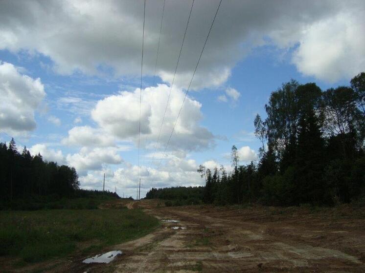 Смоленский филиал «Россети Центр» проведёт капитальный ремонт 12 линий электропередачи 110 кВ в 2025 году