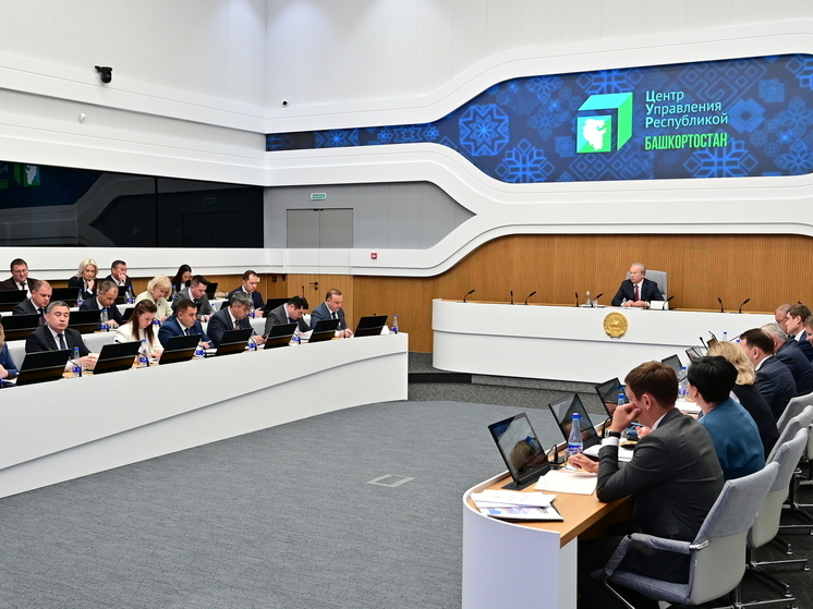 На молодежные гранты в Башкирии направили 78 млн рублей