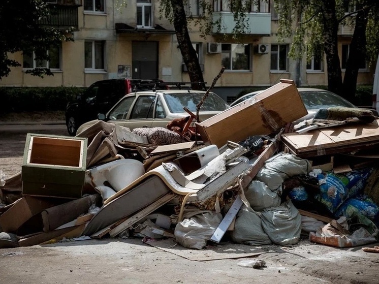 В Пролетарском районе Твери будут бороться с крысами возле мусорок