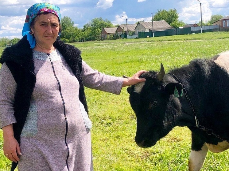 Валуйчанка благодаря господдержке начала разводить крупный рогатый скот