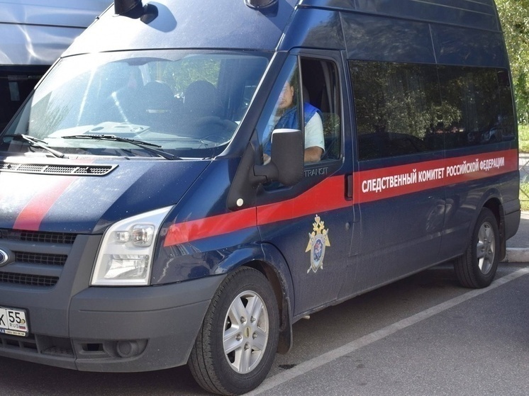 В Омске начата проверка после нападения на многодетную мать с младенцем
