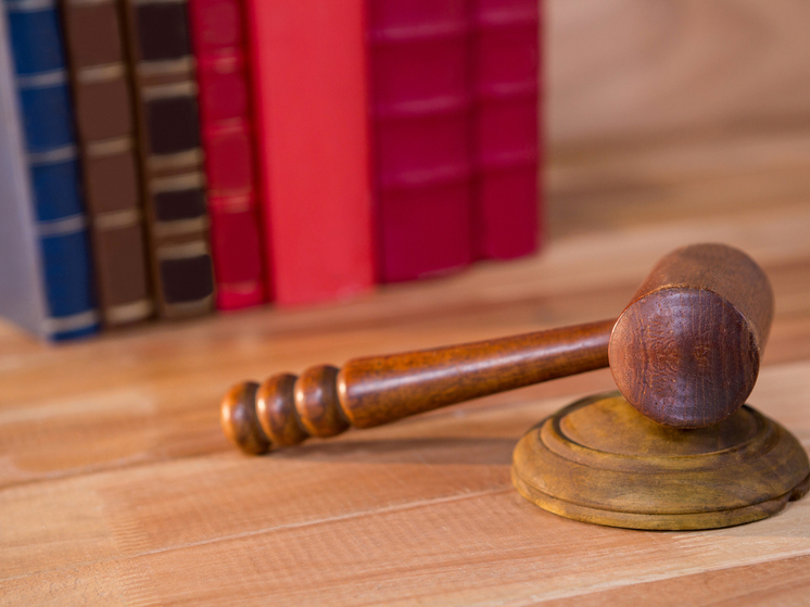 Суд вынес приговор по делу брянского пенсионера, стрелявшего в подростков