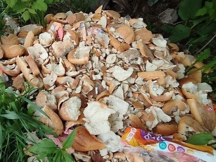 Новая хлебная свалка в Нововятске вызвала обеспокоенность жителей