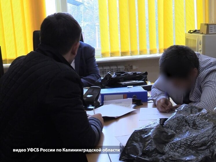 Четыре силовика ответят в суде за незаконные обыски и избиения калининградцев