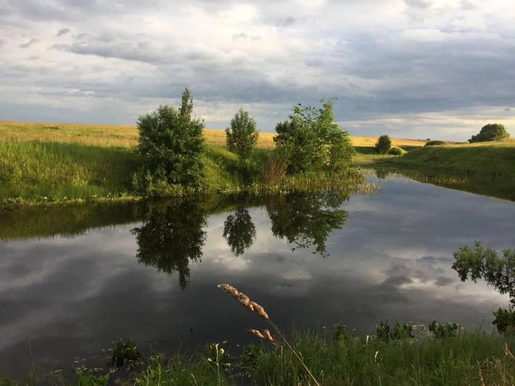 Водоёмы в Рязани обрабатывают от комаров