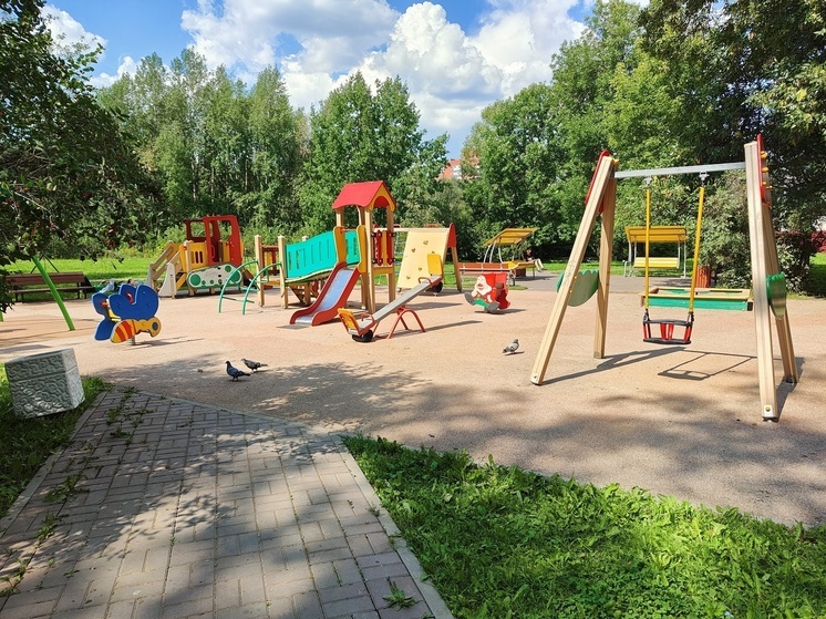 В Новгородской области внесли в реестр летних лагерей 242 организации