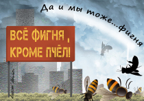 20 мая отмечается Всемирный день пчел