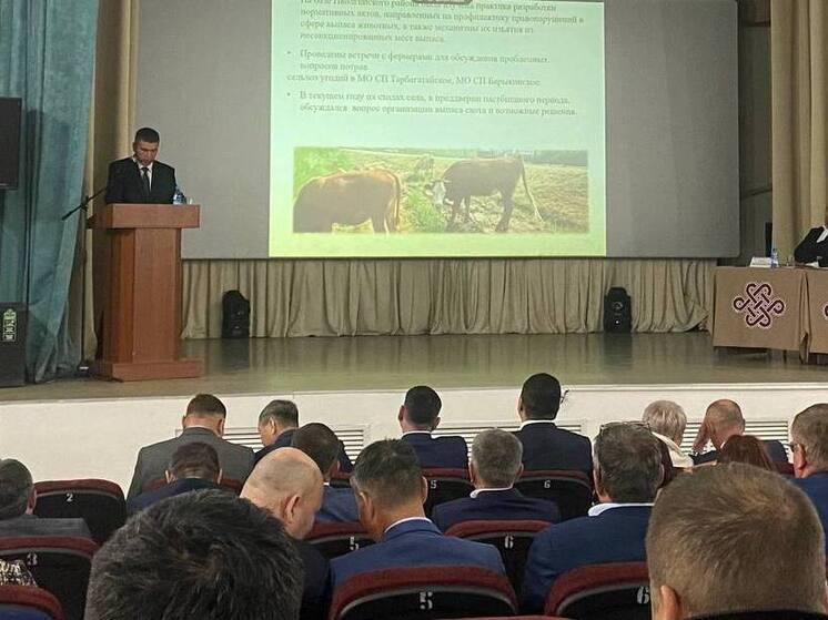 В Бурятии обсудили готовность к пожароопасному сезону и проблему выпаса скота