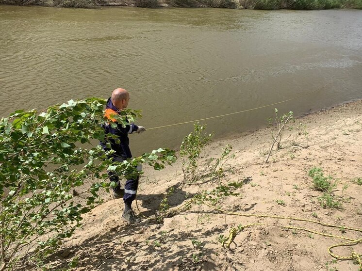 В Илекском районе утонул мужчина