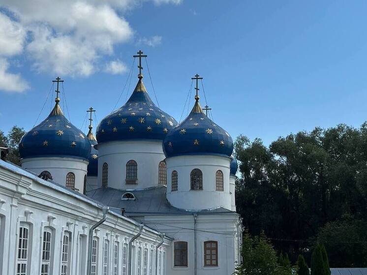 Холодное дыхание Арктики не заморозит Новгородскую область 21 мая