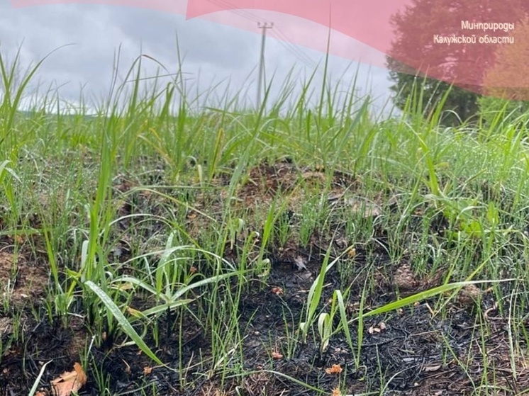 Калужские леса проверяют на готовность к пожароопасному сезону