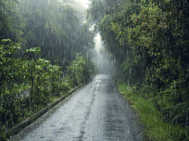 В Курской области в среду обещают 23 градуса тепла и дожди с грозами