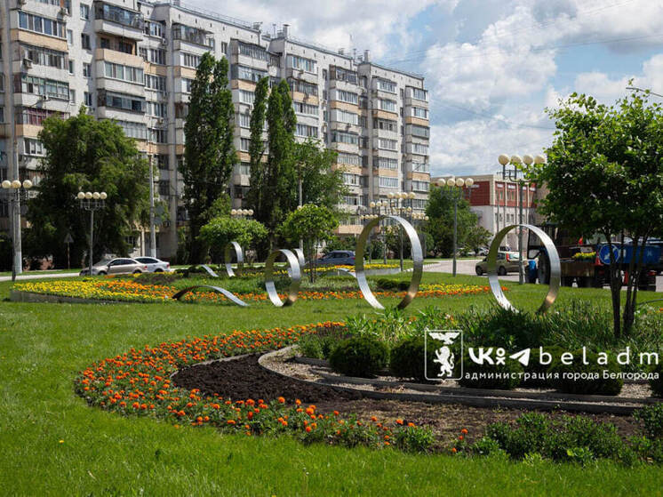 24 тысячи солнц: в Белгороде начали высаживать бархатцы