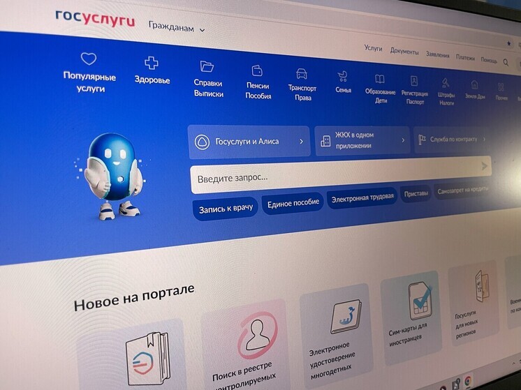 Школьник из Башкирии передал коды от Госуслуг мошенникам