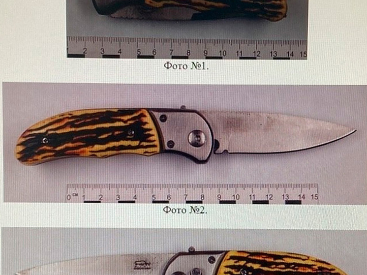 На Тамбовщине ножевое ранение знакомого привело к исправительной колонии