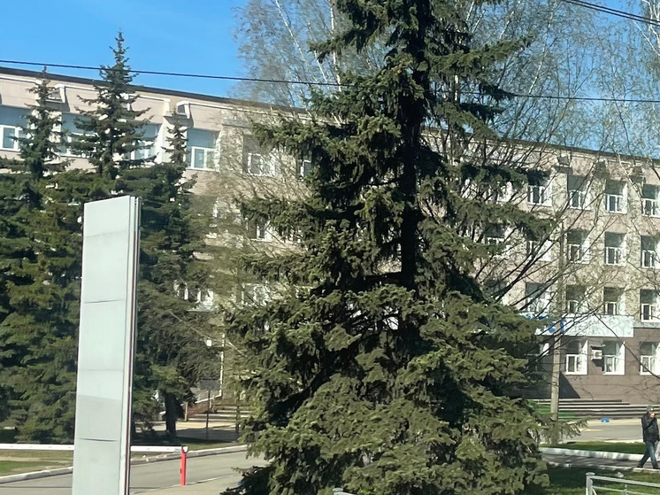 Новгородский университет подписал соглашение о сотрудничестве с Центром Алмазова