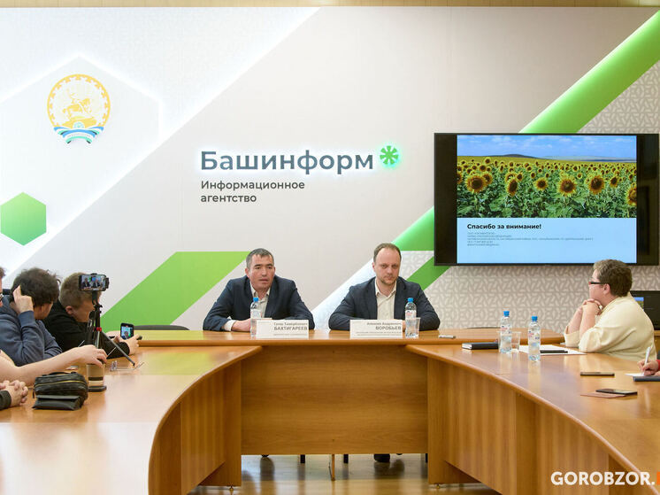 От возведения ГОКа выиграет и социальная сфера Абзелиловского района