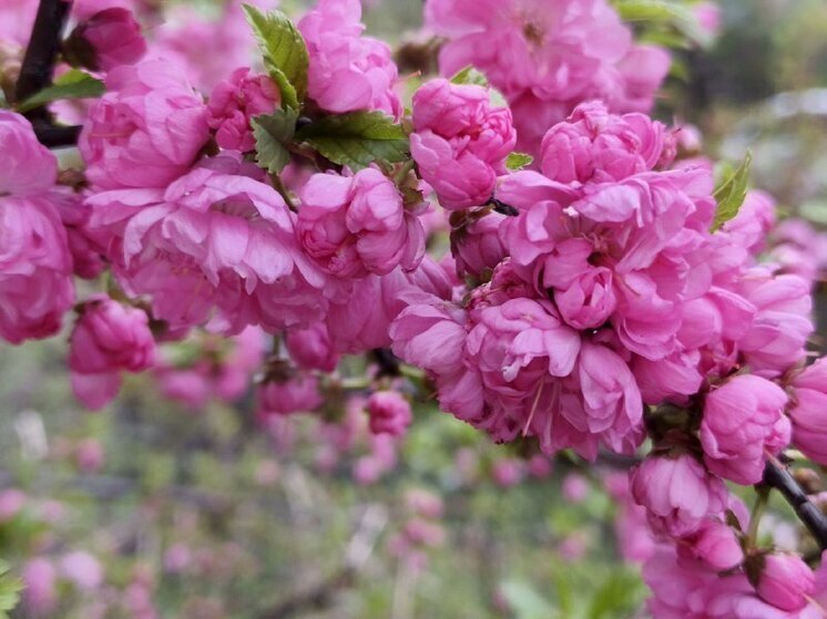 Индустриальный район Хабаровска отмечает 89 лет со дня образования