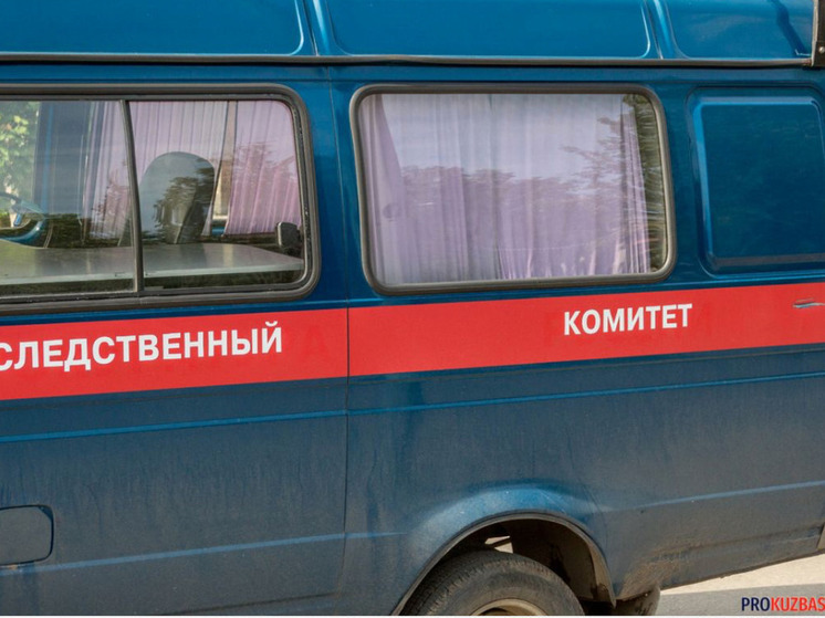 Глава СК России взял на контроль дело о нападениях бродячих собак в Прокопьевске
