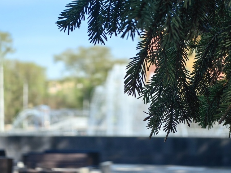 Синоптики Хакасии пообещали жару и небольшой ветер