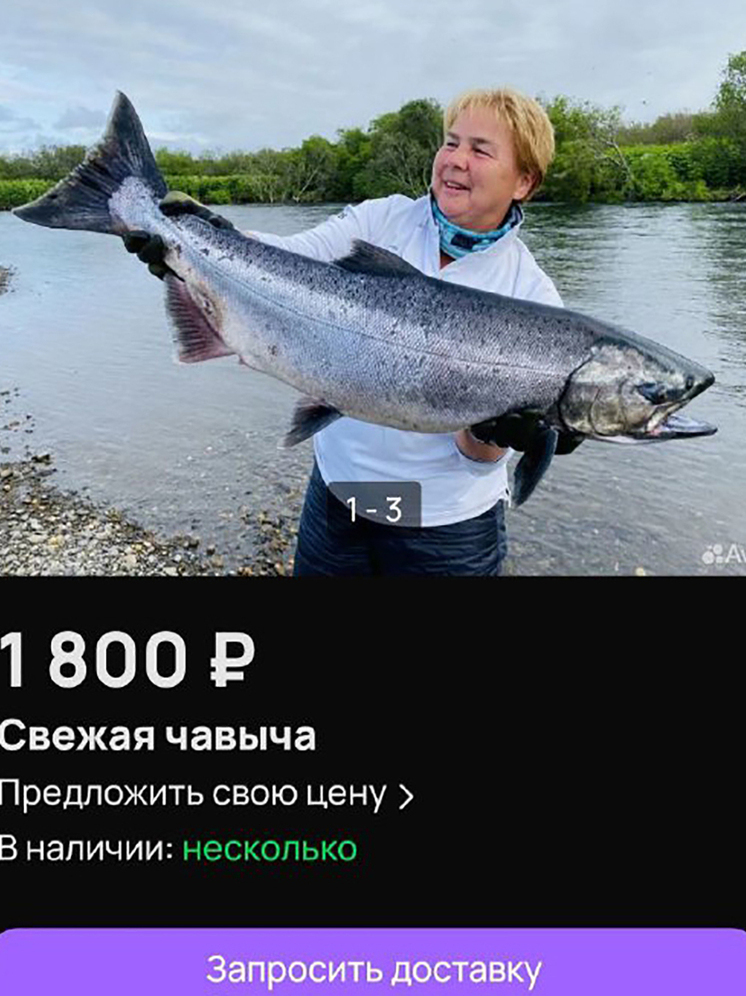 Айтишники с Авито вычисляют камчатских браконьеров