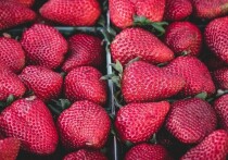 Стоимость клубники во Владивостоке может варьироваться более чем в пять раз в зависимости от сорта, происхождения и формы фасовки
