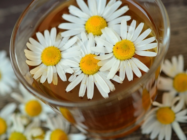 Калужанам рассказали, что будет если регулярно пить ромашковый чай