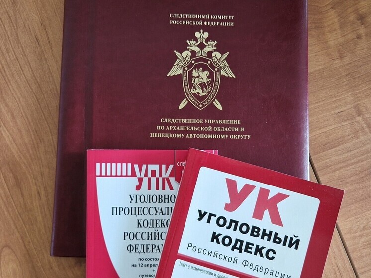 Жительница Архангельска обвиняется в убийстве мужчины