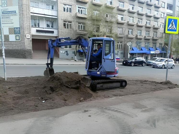 Земля на обочинах дорог Читы непригодна для клумб и деревьев