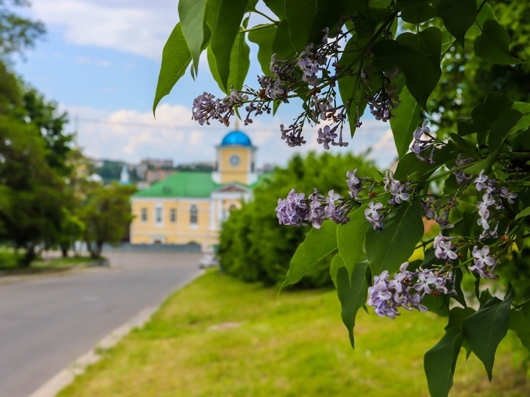 Почти 75 тысяч жителей Смоленской области проголосовали за объекты благоустройства