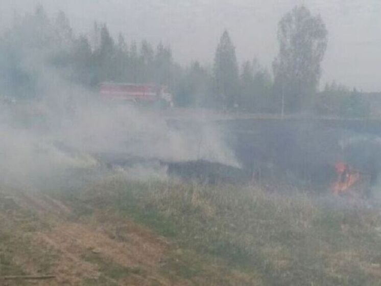 Двое мужчин устроили лесные пожары в Тайшетском районе