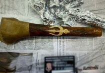 Не так давно Федеральная таможенная служба сообщала о задержании студента, пытавшегося отправить за рубеж посылку с древними окаменелостями