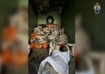 В Астрахани вынесен обвинительный приговор индивидуальному предпринимателю, признанному виновным в приобретении и хранении с целью сбыта более 9,5 тонн немаркированной рыбной продукции